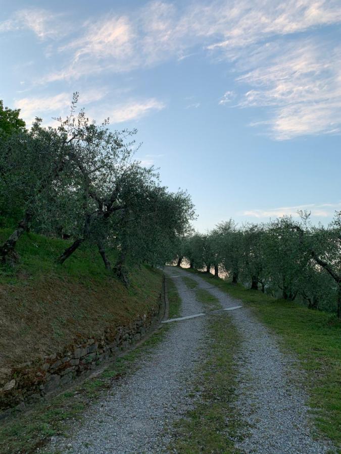 קאפאנורי Marziani Rustic Tuscan House מראה חיצוני תמונה